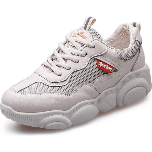 Sports shoes in 2019 spring new breathable mesh surface lace-up shoes women