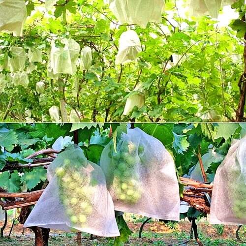 100Pcs Lot Garden Vegetable Grapes Apples Fruit Protection Bag Pouch Agricultural Pest Control Anti-Bird Mesh Bags