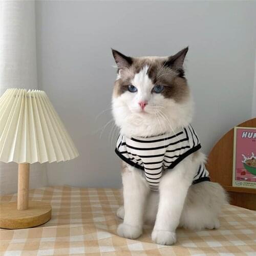 PetMundo Products For Cats