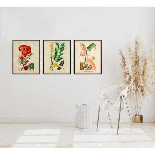 Vintage French Botanical Garden Print Set, Jean Theodore Descourtilz Fresco, Three Giclée Prints French Illustration Collection