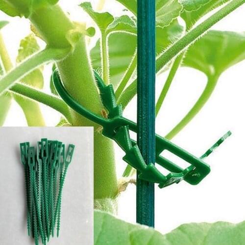 10/20/50/100PCS Adjustable Plastic Plant Cable Tie Reusable Garden Cable Ties Greenhouse Grow Kits for Tree Climbing Support