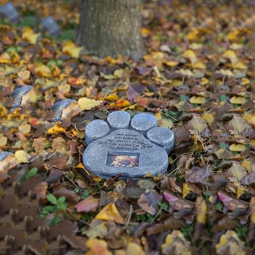 Memorial Tombstone for Pet Keepsake Gravestone Tomb Dog Cat Paw Print Animal Funeral Footprint Shaped Can Put Photos