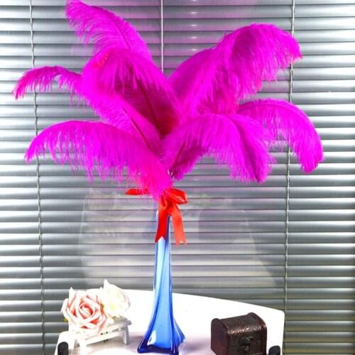 50 Pcs / lot Natural Real 15-20cm to 55-60CM Hot Pink Dyed Ostrich Centerpieces Feathers plumes for party / wedding decorative