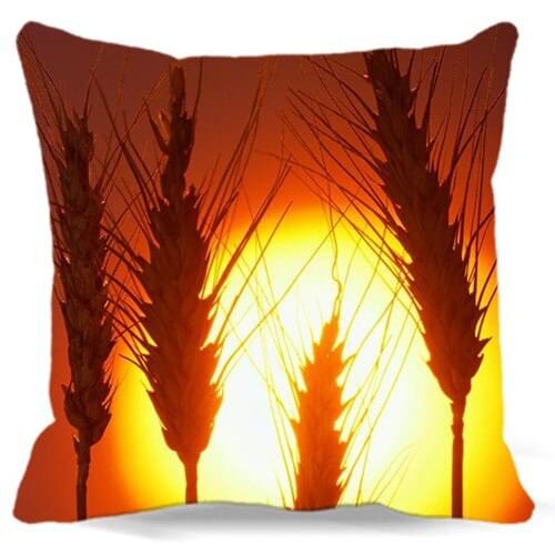 Sun shines on the wheat like a ball of fire Home Textile bedding Square cotton polyester pillow cover For home hotel car sofa