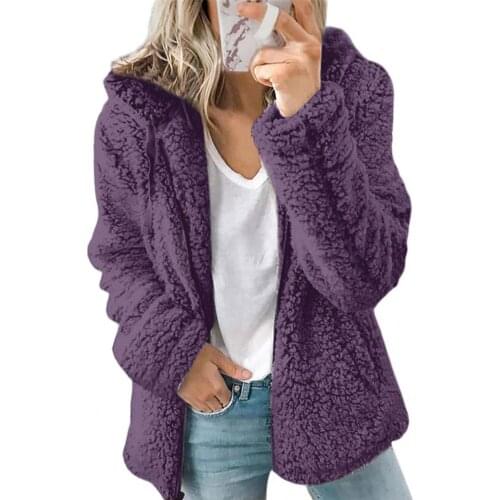 Female hooded sweatshirt Zipper Closure Plush Fleece Coat Autumn Winter Hooded Solid Color Warm Jacket Coat Female Outerwear