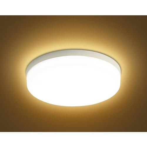 Newest LEDs Ceiling Light Flush Mounting 18W 24W 36W 48W Round Ceiling Lamp for Kitchen Bedroom Hallway Warm / White Light