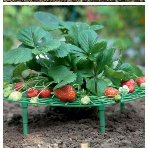 Hot Strawberry Stand Strawberry Planting Stand Green Plant Climbing Stand Balcony Potted Vegetable Gardening Stand Plant Cages
