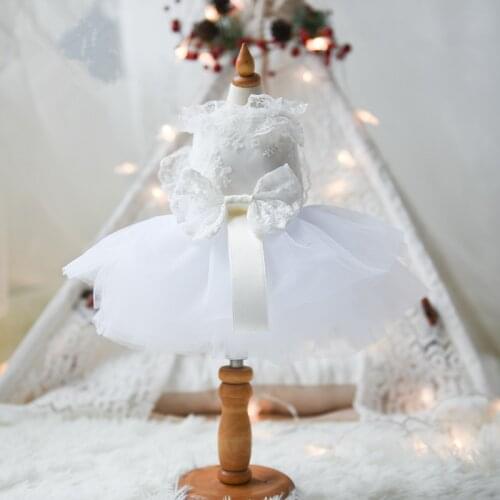 Dog Clothes Summer Cat Dog Wedding Dress Corgi Tutu Chihuahua Yorkie Poodle Pomeranian Schnauzer Pug Pet Clothing Drop Shipping