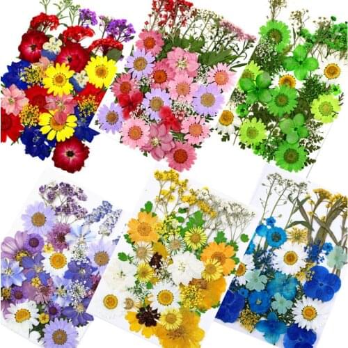 Pressed Flower Assemble Material bags For Tree Specimens 5 Bags Free Shipment