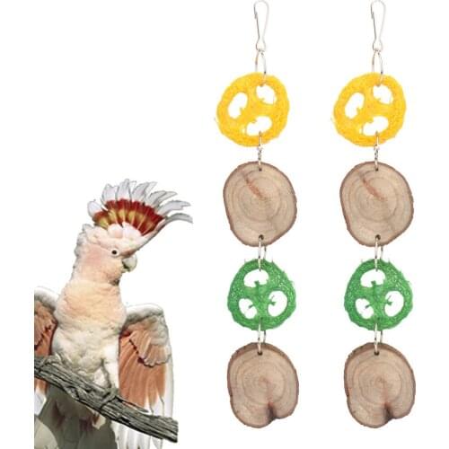 Nature Loofah Sponge Chews Bite Scratcher Toy for Hamster Birds Parrot Mouse Rat Chinchilla Small Animals Chew Playing Toys