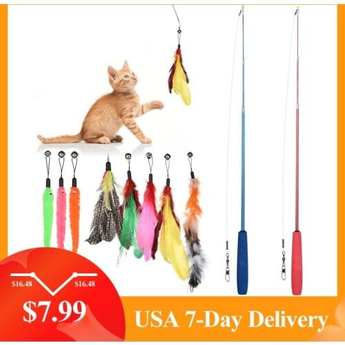 10 PCS Replacement Cat Feather Toy Set, Cat Feather Teaser Wand Toy for Kitten Cat Having Fun Exercise Playing Without the Stick