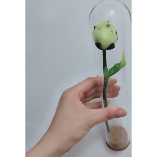 Free Shipping 2sets/pack 5*28cm Tube Glass Dome Home Wedding Decoration Diameter=5cm Height=28cm Glass Cover Vase Friend Gift