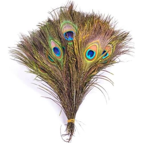 NEW 10PCS Natural Real Peacock Tail Eye Feathers DIY Crafts 23-30cm 10-12Inches Natural Crafts Trimmings House Room Decoration
