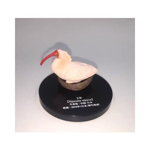 Mini pvc figure Extinct animals incredible animal Encyclopedia small ornaments BIRD