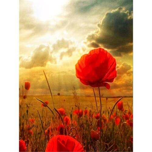 Poppy Flowers Pre-Printed 11CT Cross Stitch Patterns Embroidery DMC Threads Needlework Handicraft Handmade Handiwork Counted