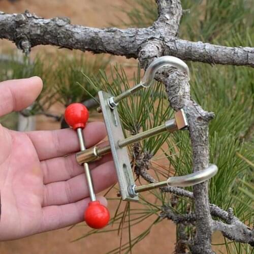 Bonsai Branch Bender Tools Kit Exceptional Steel Gardening Care Wonderful Installation Tree Trunk Bender Regulator
