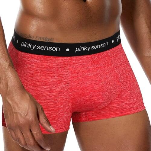 Pinkysenson men boxer shorts men underwear smooth mesh Nylon panties mens shorts boxers underpants shorts men трусы