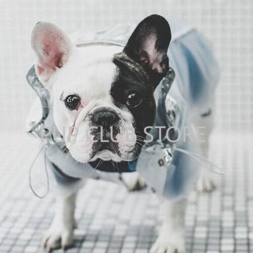 Fashion Pet Dog Raincoat Transparent Print Waterproof Dog Clothes New Design French Bulldog Rain Coat Maltese Jacket PDC0136
