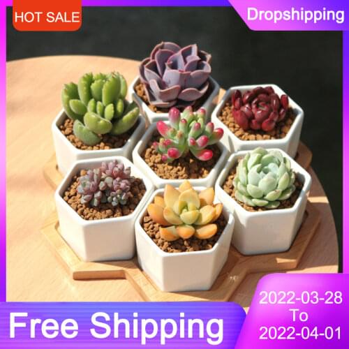 Silicone Plant Pot Molds Form Arts Craft Polygonal Casting Moulds DIY Succulent Flowerpot Clay Mold 3 Styles Concrete Mould