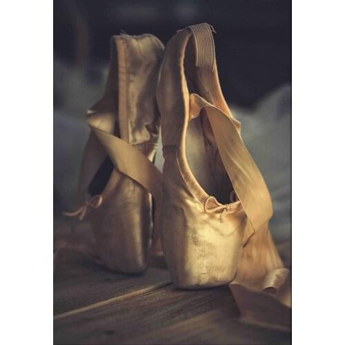 JMINE Div 5D ballerina Ballets Shoes Full Diamond Painting cross stitch kits art High Quality Scenic 3D paint by diamonds