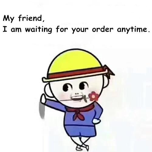 VIP for Massage Gun EU PLUG