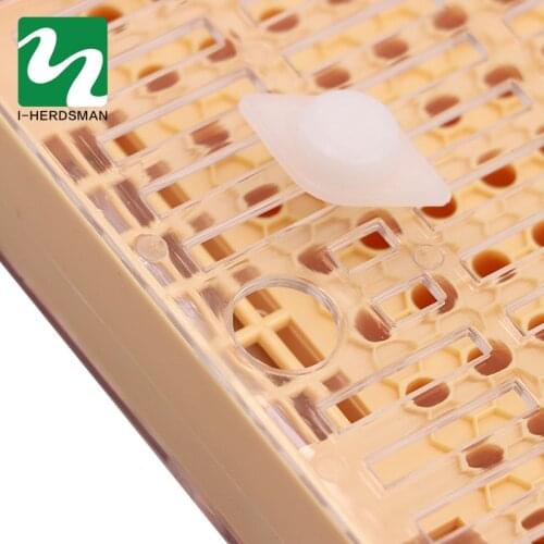Hot Sale 1PC Beekeeping Cupkit Queen Rearing Box Nicot Queen Bee Rearing System For Beekeeping Plastic Nicot Cage Tools