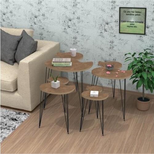 Modern Larose Zigon Coffee Table Faye Gray 4 Pcs (55*45*35-50*40*30-45*35*25-40*30*20) rectangle coffe table