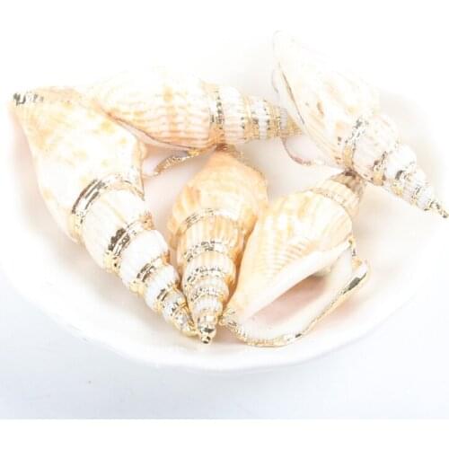 Gold plating Aquarium Beach Nautical DIY Shells Colorful Natural Seashells Decorations Scallop Shells Crafts Decor Ornament 5Pcs