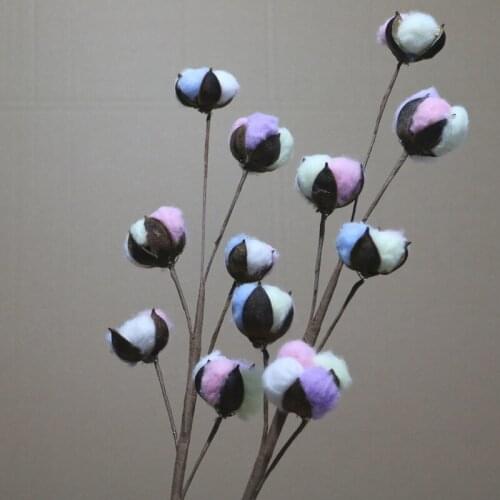 4pcs/lot 6 Head Natural Colored Cotton Dry Cotton Branch for Home Furnishing Decoration Free Shipping