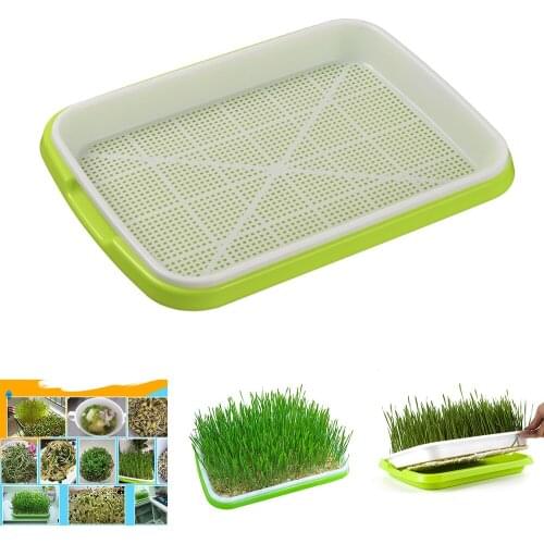 Double-Layer Plastic Hydroponic Flower Basket Flower Plant Sprouting Tray Box Sprout Seedling Tray Paper Planting Sprout