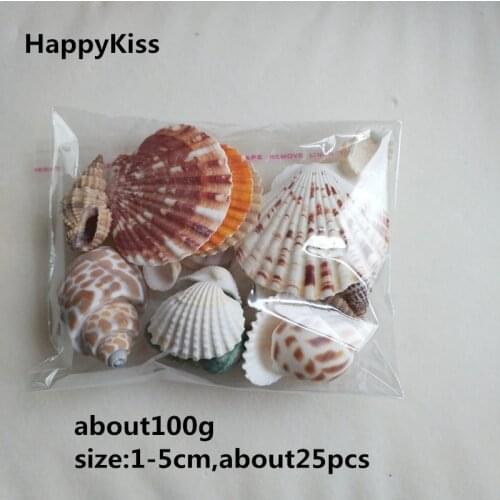 Sea Shells Natural starfish sea conch 100g Fashion Decoration Beach Fashion Seashells for DIY Caft Decor