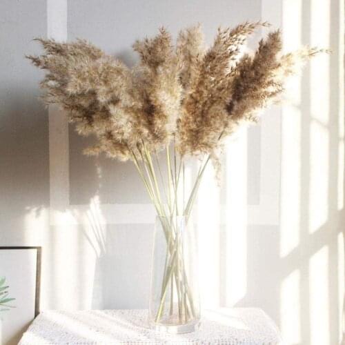 50pc Natural Dried Flower Reed Wheat Ears Bouquet Boho Decoration Art Artificial Flower Home Bedroom Livingroom Decor декор дома