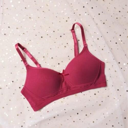 New Lingerie Back Three-Row Buckle Comfortable Close-Fitting Cotton Underwear Women Push Up Bra