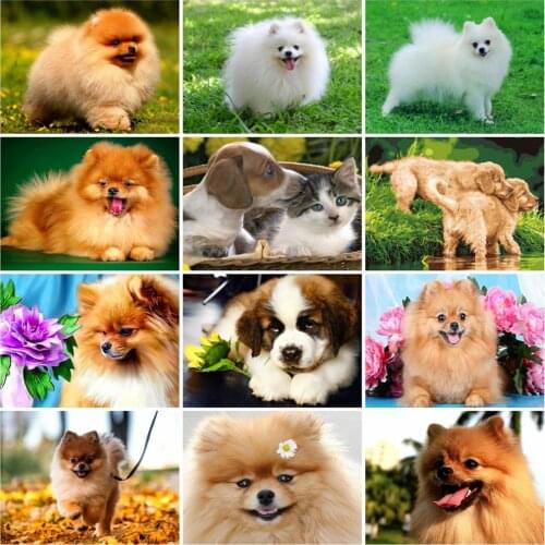 HUACAN Painting By Numbers Dog Drawing On Canvas Hand Painted Paintings Animal Art Gift DIY Pictures By Number Kits Home Decor