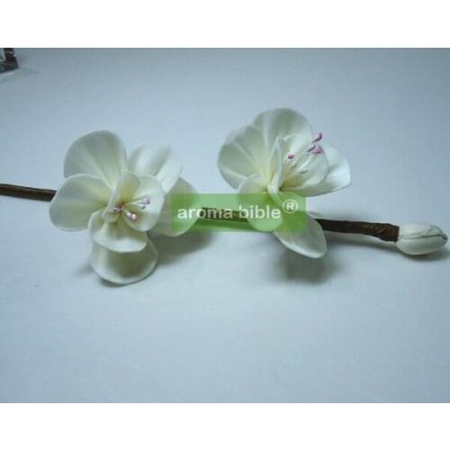 1000 pcs /lot Handmade sola wood flowers for fragrance diffuser and home decor with 12cm Rope or rattan reed sticks Top quality