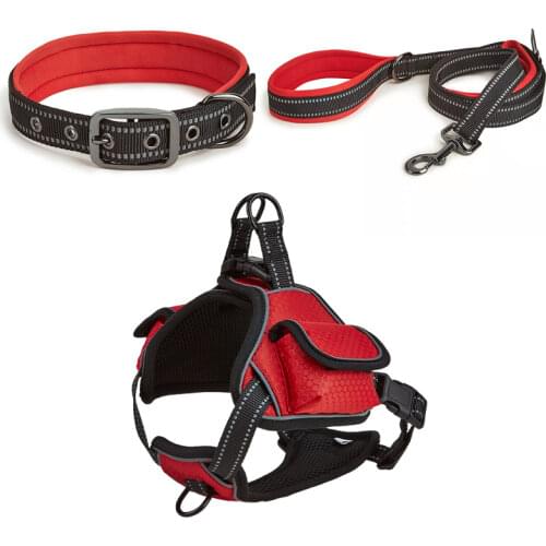DUTRIEUX Harnesses