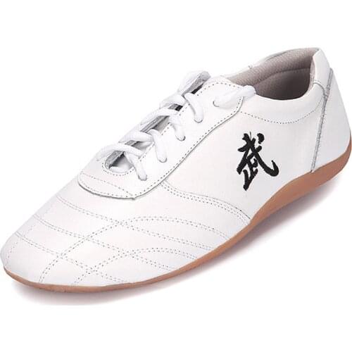 New PU Tai Chi Shoe, Soft Cowhide Ox Tendon Bottom martial Art Shoes, Spring And Autumn Fund Taiji kungfu Shoe