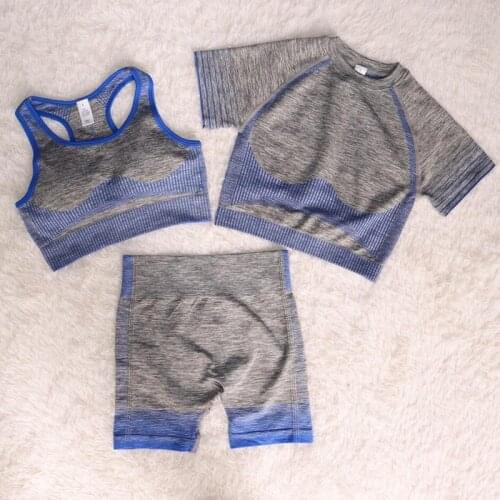 3/2 Pcs Summer Women Seamless Yoga Set Fitness Sports Suits GYM Cloth Tracksuit Yoga Top High Waist Shorts Workout Clothing