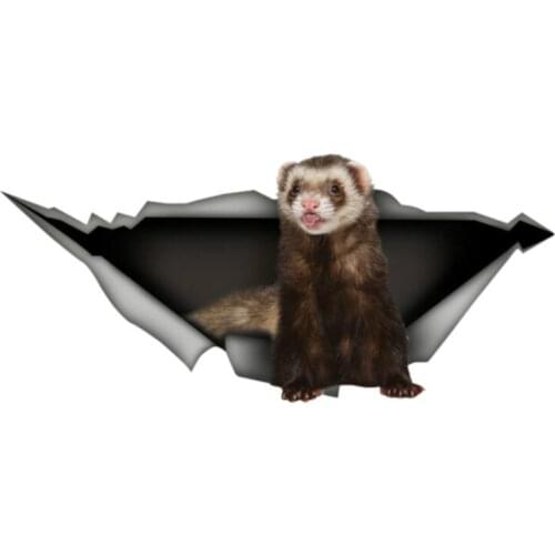 Dawasaru 13cm X 5.9cm Ferret Car Decal Sticker 3D Pet Graphic PVC Decal Car Window Laptop Bumper Animal Car Stickers
