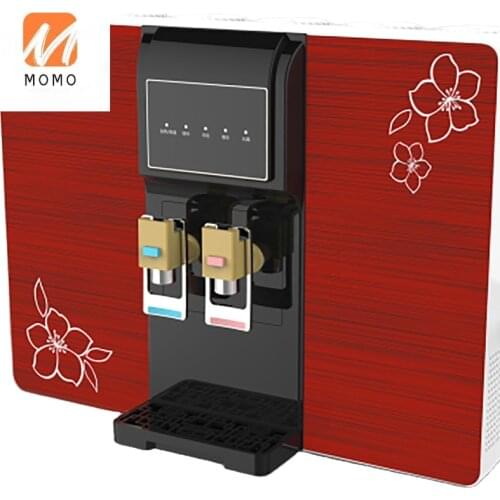 Custom Ro Hot and Cold Water Purifier Dispenser Direct Drinking Ro System Water Dispenser