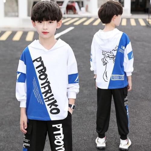 Dinosaur Spring Autumn Girls Clothing Suits Sweatshirts +Pants 2pcs/Set Pullover Kids Teenager Outwear Sport Beach School