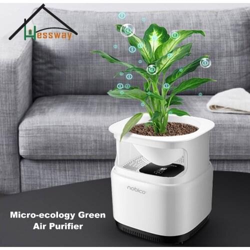 12V Generator Micro-ecology Green Air Purifier ioniser natural air purifier for home
