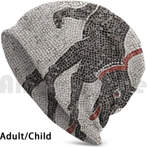Cave Canem Mosaic ( Beware Of Dog ) Hat 3210 Hat Cave Canem Ancient Dog Beware Of Dog Watchdog
