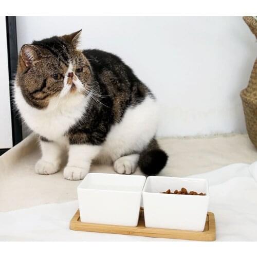 Cat Double Bowl Cat Food Bowl Bamboo Stand Ceramic Cat Rice Bowl Food Bowl For Dog Or Cat Pet Supplies
