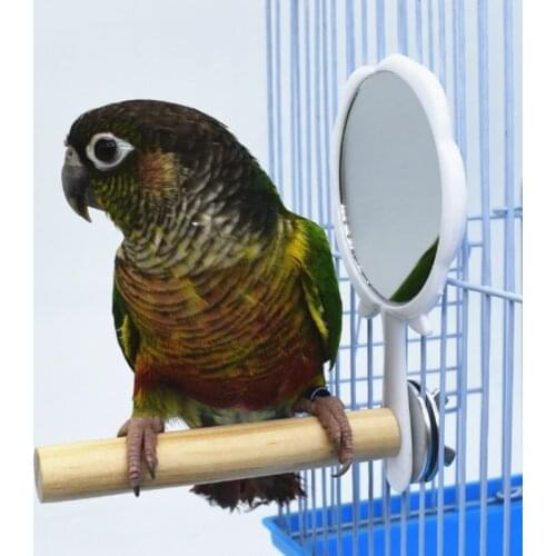 Parrot Perch Triangle Frosted Hen Stand Wood Table Top Play Toy for Hens Handmade Swing Bird for Large Bird With Mirror