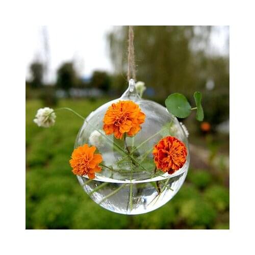 Hanging Ball Clear Glass Flower Planter Vase Terrarium Container Landscape Bottles