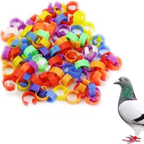 100Pcs Pigeons Rings 10 Colors Birds Feet Rings 8mm Plastic Clip Ring Pigeon Dove Quail Foot Opening Ring Bird Accessories