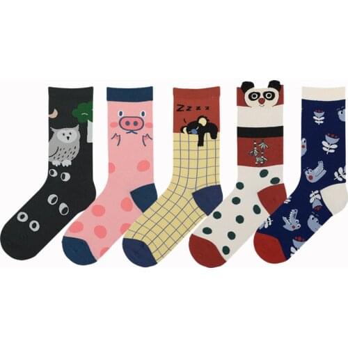 5 Pairs A Lot Casual Women Funny Socks Cotton Cartoon Jacquard