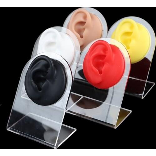 Silicone Ear Model Practice Piercings Tools Ear Studs Display With Acrylic Stand