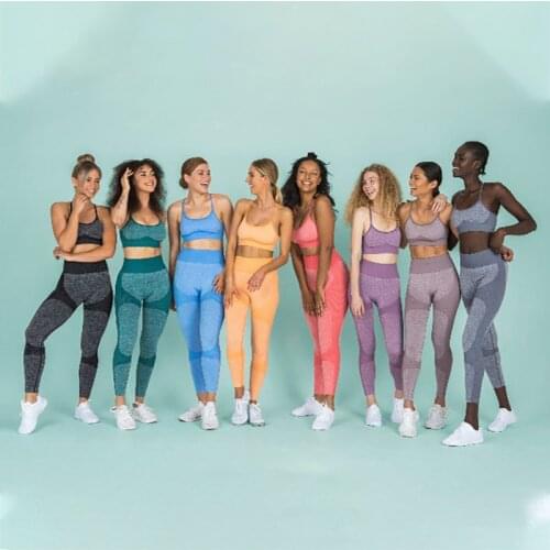 2 Piece Set Workout Clothes for Women Sports Bra and Leggings Set Sports Wear for Women Gym Pants Clothing Fitness Athletic Yoga